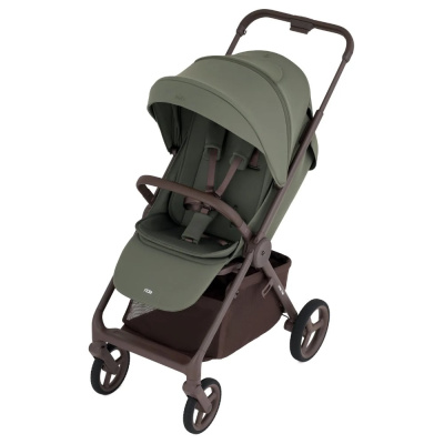 Детская прогулочная коляска Anex Ride (RD-03) Freshy